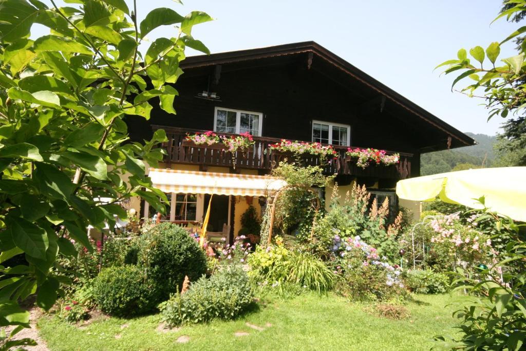 Appartement Am Schilift Sankt Gilgen Exterior foto